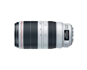 Canon EF 100-400mm