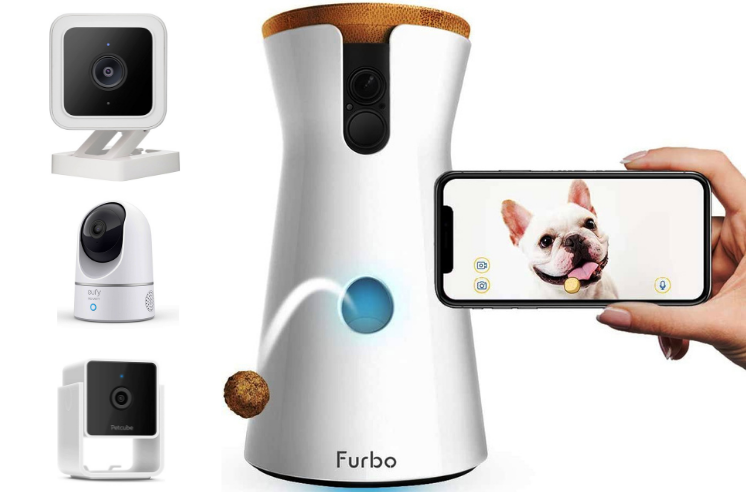 5 Best Camera For Dogs At Home