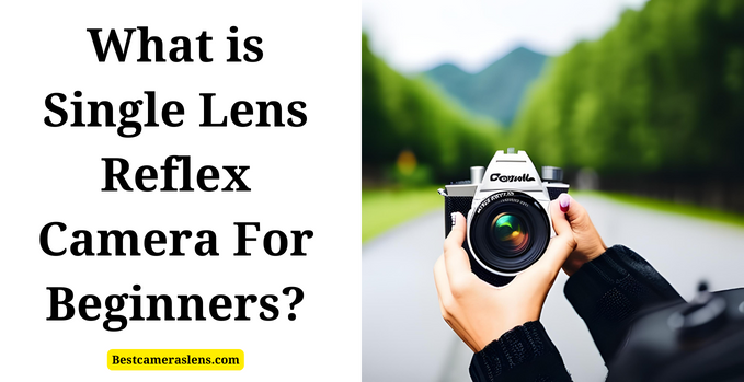 Understanding the Basics: What is Single Lens Reflex Camera For Beginners?
